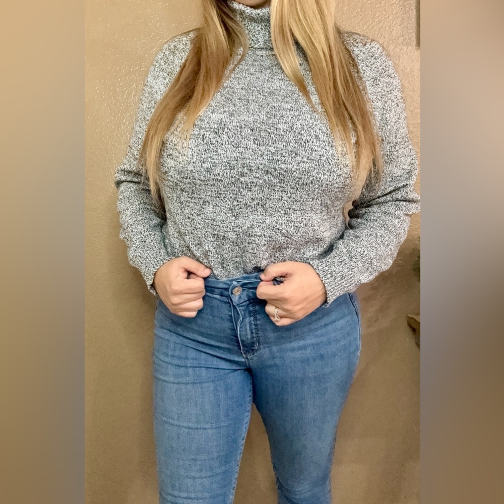 Karen Scott Gray Sweater